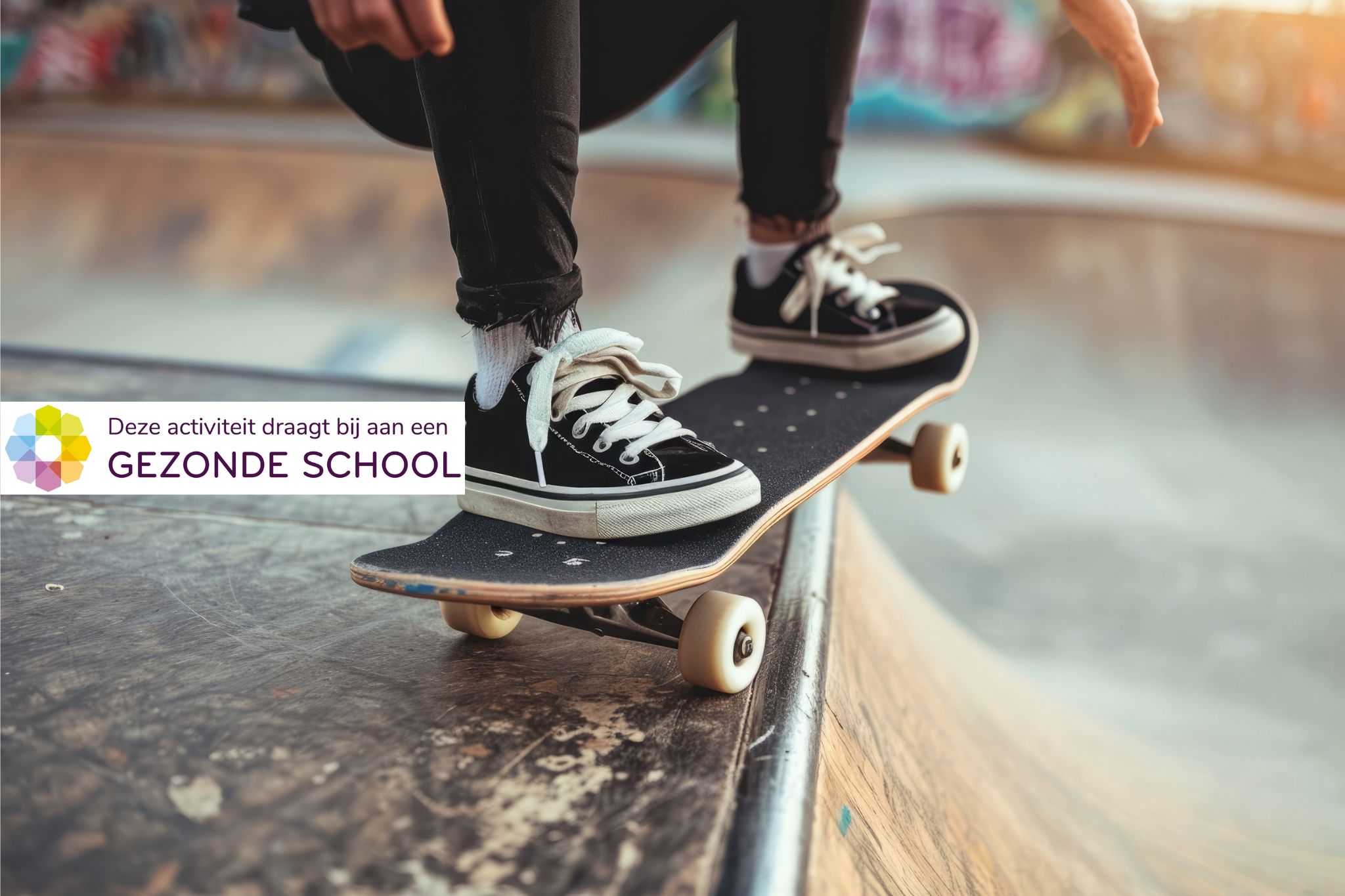 LEV2Choose - Risicogedrag